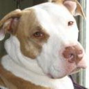 Meet your Posher, Cathy